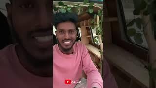 Van grass work | different type van decoration | van life |in tamil #vanlifeinchennai #vanlifeindia