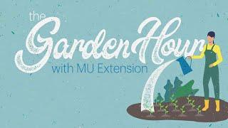 The Garden Hour with MU Extension – 11/20/24