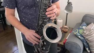 Cannonball Big Bell Stone Series Alto Saxophone Demo