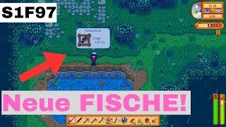 NEUE Fisch die wir noch NIE gefangen haben! Stardew Valley [1.6]  S1F97