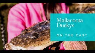 Dusky Flathead - Mallacoota Inlet hits and misses