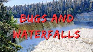 Bugs and Waterfalls - In and Around Wood Buffalo National Park