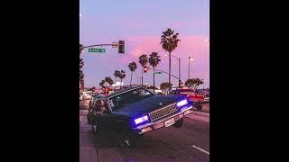 (FREE FOR PROFIT) WEST COAST G FUNK TYPE BEAT "The Flyest One"