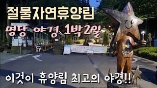 절물자연휴양림/꼭 봐야할 백만불 야경/추천 명당 1박2일