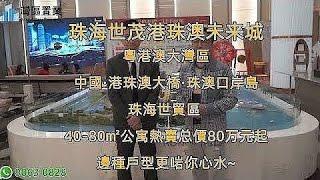 珠海世茂港珠澳未来城【灣區置業】｜粵港澳大灣區｜中國·港珠澳大橋·珠澳口岸島|珠海世貿區 | 40-80㎡公寓熱賣中，总價88w元起|邊種戶型更啱你心水~）