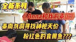 全新系列《Anna和我游泰国》第一集！泰南勿洞寻找神秘天价粉红色的食用鱼？？