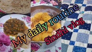 My daily routine  🫕 🪴 🪣 ️  🪡/sindhi vlog 