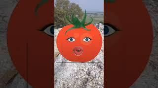 Tamater and Bagan Funny Video || Truck