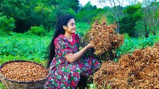 Authentic Sri Lankan Peanuts Galore  Making Caramelized Chikki, Durian Crepe Cake &Easy  Watalappan