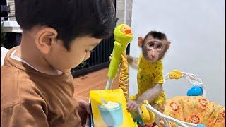 Adorable Baby Monkey Alpha loves playing with Isa