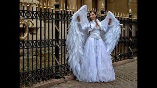 angel wings adult halloween costume accept orders #angel #halloween #shorts #shortsvideo #angels