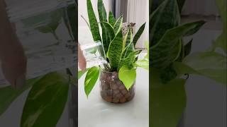 Um pouquinho dos arranjos florais dessa semana  #plantaslindas #plantas