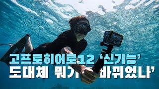 고프로히어로12, 달라진 '신기능'들을 소개합니다! | Explore the new features of GoPro Hero 12 !!