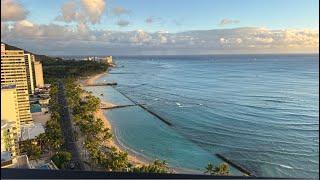 LIVE HONOLULU ️- Waikiki Beach! 