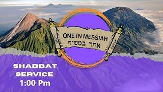 One In Messiah Torah Reading & Midrash