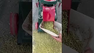 Feed Pellet Machine: Inclined Rollers vs Flat Rollers Benefits