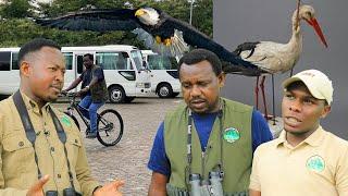 Ibanga rya Matene, imisazire ya Kagoma no kwimuka kw'inyange. Jacana birding tours muri Urban Park