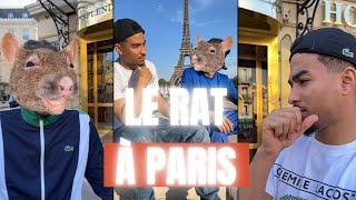 LE RAT PART EN VACANCES AVEC ISMA