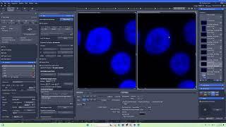 How to set multi-focus and different Z-axis in each fluorescence channel #zeiss #microscope