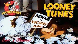 LOONEY TUNES (Looney Toons): Ding Dog Daddy (1942)