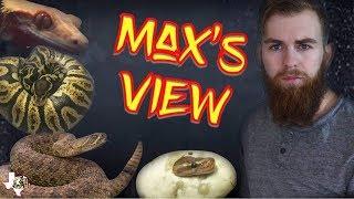 Max Hicks of Max’s View