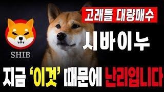 [ 시바이누 코인 전망 ] 고래 대량 매수 지금 이것 때문에 난리입니다 #shib #시바이누코인 #시바이누 #시바이누전망 #밈코인 #비트코인 #이더리움 #도지코인