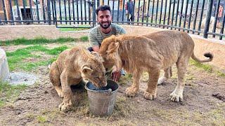 Liger Lara Ki Dosti pki HogaiDono Bht Happy Life Guzarny Lge️