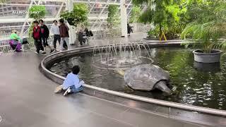 Devonian Gardens, indoor park at Core Shopping Centre in downtown Calgary, Alberta, Canada