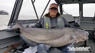 Captain Cindy Catches Her New PB Blue Catfish On Lake Wheeler!