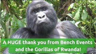 A huge Gorilla trekking thanks from Jonathan Worsley, CEO, Bench Events