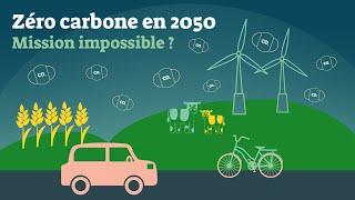 Pourquoi l’objectif zéro carbone de la France en 2050 est important ?