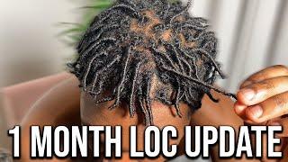 1 Month Loc Update | Hightop dreads expectations vs reality (starter locs)