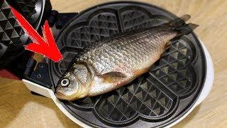 EXPERIMENT WAFFLE IRON vs FISH Herring