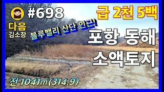 #698 포항 남구 동해면 상정리 소액토지 #다음공인중개사 #010-2622-8488 #급매 #블루밸리산업단지