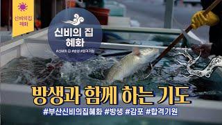 [부산용한점집 신비의집 혜화]기운팍팍 합격기원 