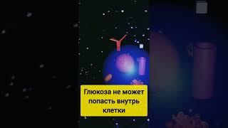 сахарный диабет 2 типа #диабет