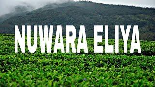 NUWARA ElIYA SRI LANKA