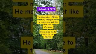 Habakkuk 3:19, The Sovereign LORD is my strength He makes my feet like the feet of a deer He enables