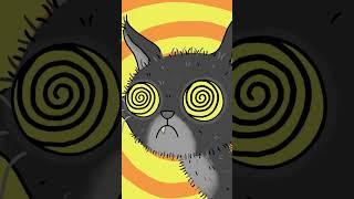 HYPNOCAT HAS SPOKEN!‍