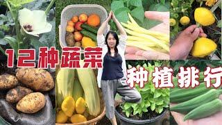 【种植29】12种春季夏季的蔬菜种植，各种菜的种植tips，采收啦 | 12 kinds of vegetables in my summer garden with planting tips