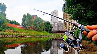 I CAN'T BELIEVE what this Fish did?! Urban River Fishing GONE WRONG 