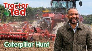 Caterpillar Hunt  Tractor Ted BRAND NEW Trailer | Tractor Ted Official