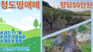 청도땅매매428 매전면 계획관리지역 대지 117평(387㎡)  평당 50만원  #청도작은토지  #계곡인접 #청도주말농장 #가족휴식터