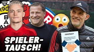 BAYERNS großes OPFER für WIRTZ! Schnelle TUCHEL-EINIGUNG! | KickNews