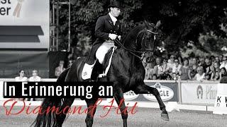 Erinnerungen an Diamond Hit  | Seine Verabschiedung aus dem Sport | OLD Hengsttage Vechta