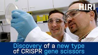 Researchers discover new type of CRISPR gene scissors