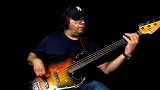 Bireli Lagrene - Jaco Pastorius Style Bass -  The Chicken (Bassline Lesson Excerpt)