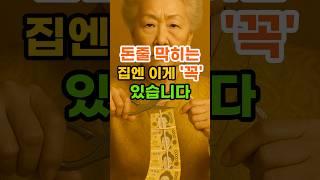 돈줄 막히는 집에는 이게 꼭 있습니다 #재물운 #풍수 #운세