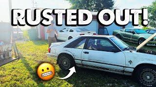 RUSTY and RARE GT350 Foxbody | Will it RUN and DRIVE after 20 years?