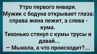 Как Мыкола На Куму Залез! Сборник Свежих Анекдотов! Юмор!